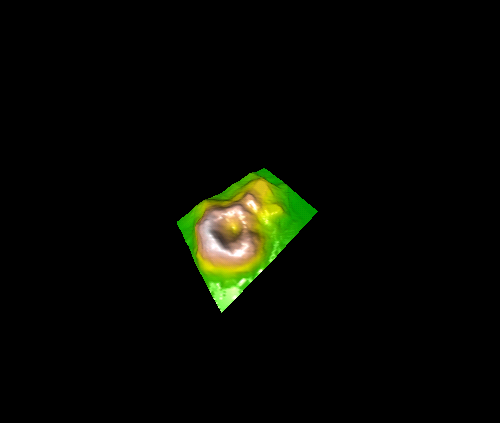 rgl5.png