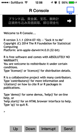R_Console1.png